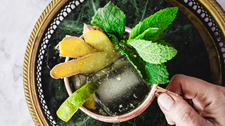 hand holding moscow mule