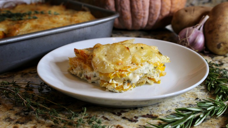 pumpkin and potato gratin on white plate with herb sprigs