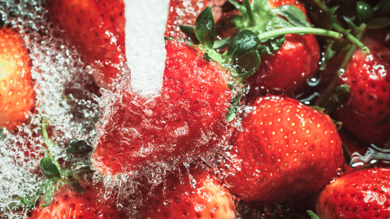 Strawberries soaking in the sink