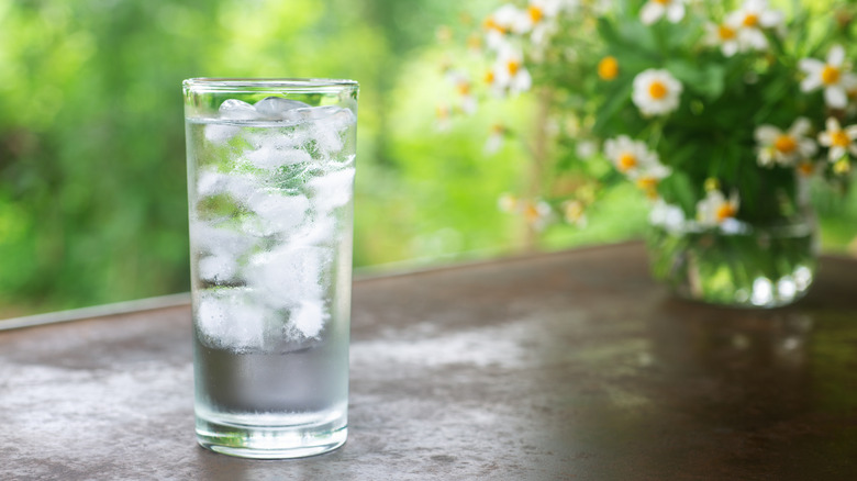 A cup of water with ice in a natural background