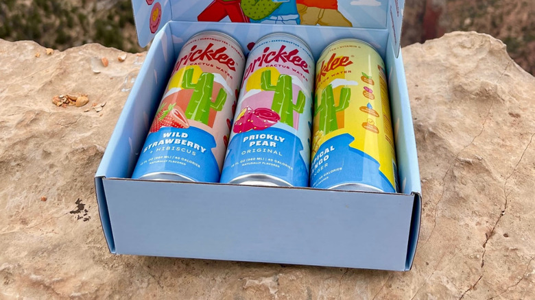 Three cans of Pricklee water in Wild Strawberry, Prickly Pear, and Tropical Mango, sit in a box in the desert