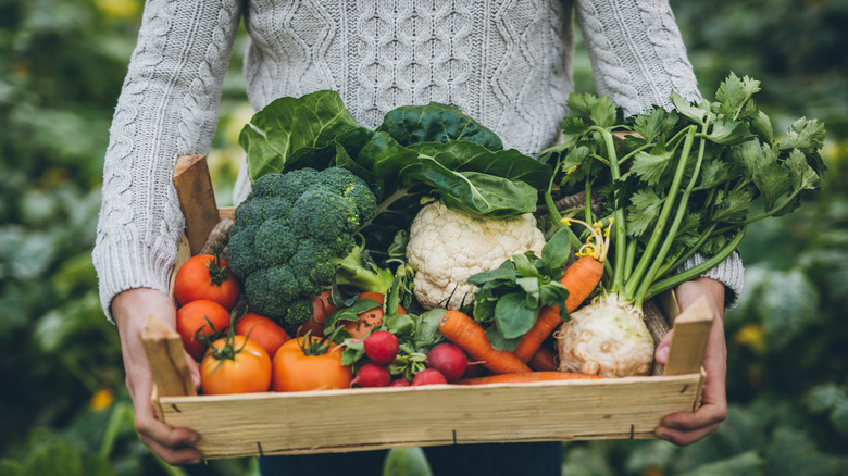 Close up of a man holding a crate of freshly-picked garden vegetables