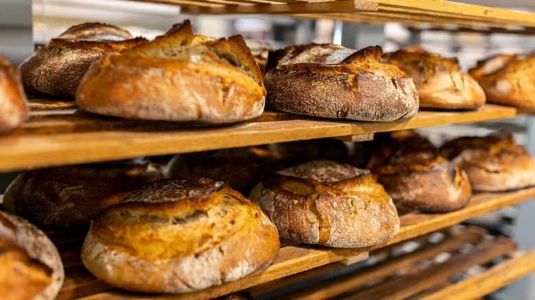 Freshly baked bread loaves on bakery shelves