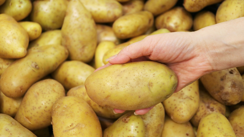 Someone picks up a potato from a large stack of potatoes