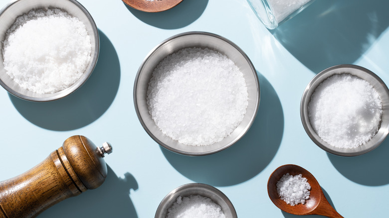 A variety of sea salts in bowls and spoons