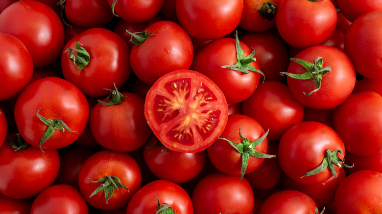 A single tomato on a pile of other tomatoes is cut in half