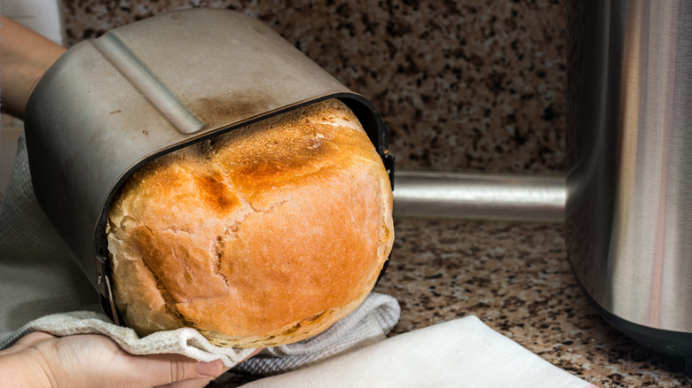 Freshly baked bread coming out of a bread machine