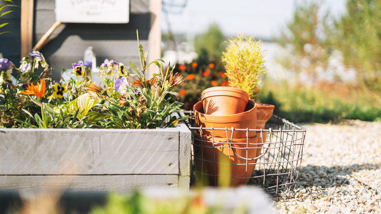The sun shines down on the edge of a garden bed