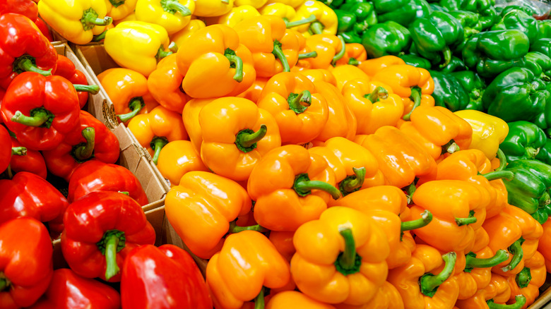 Variety of bell peppers at the grocery store
