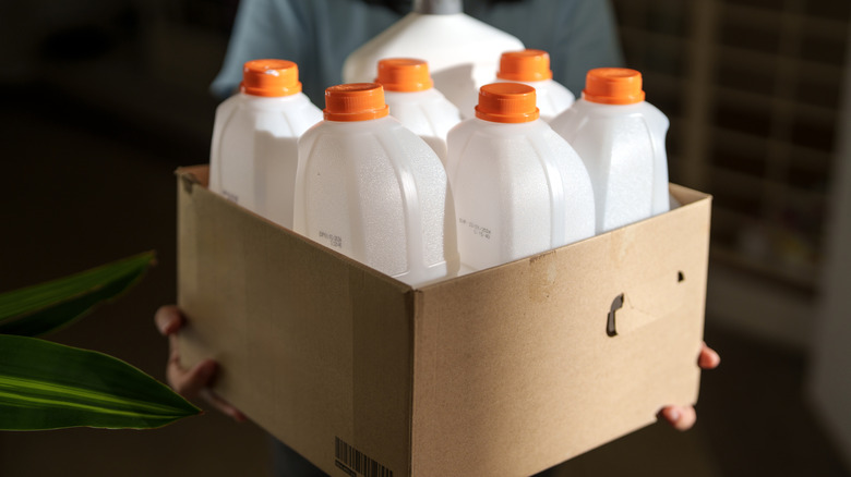 Empty milk jugs in a cardboard box