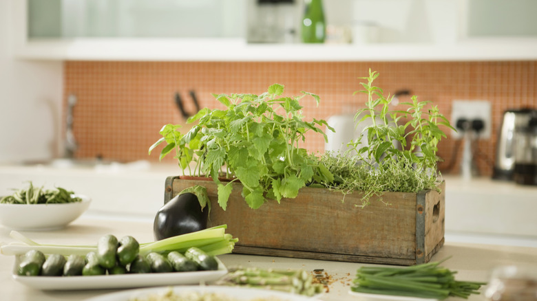 A wooden box with herbs planted in it