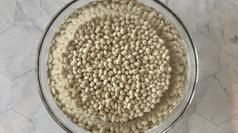 navy beans in glass bowl with water