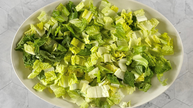 chopped romaine lettuce on platter
