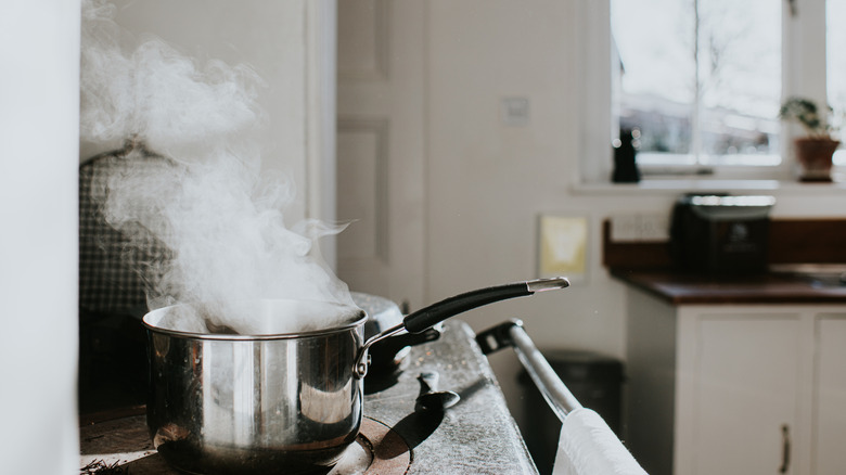 A stainless steel pot boiling on the stove