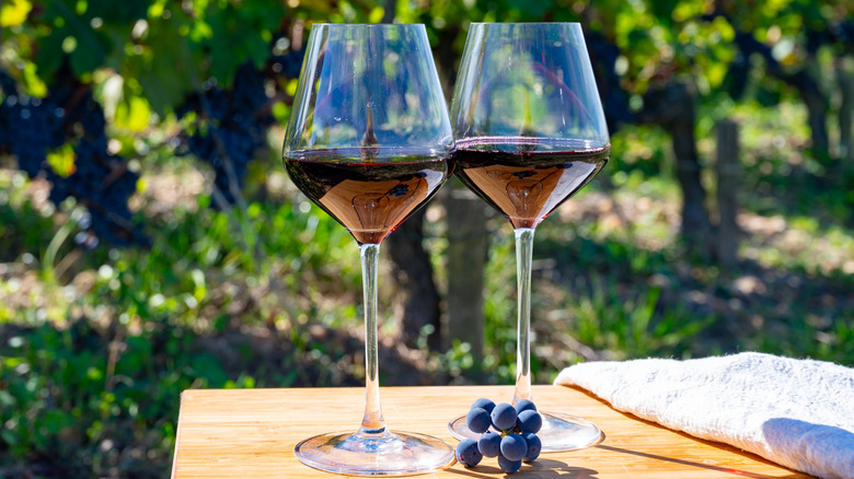 Two glasses of red wine alongside some purple grapes on a table in a vinyard