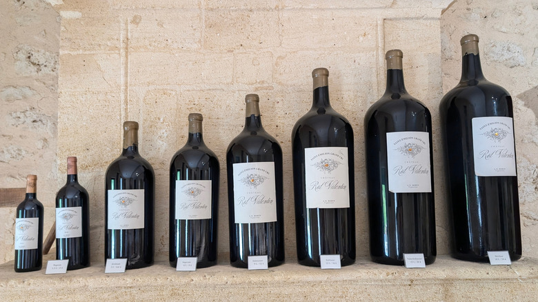 Different sizes of red wine bottles arrange in a row, smallest to largest